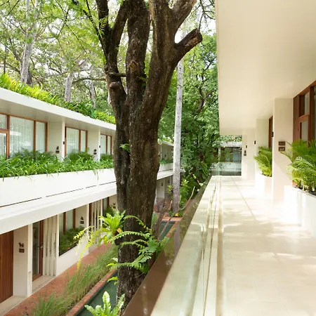 Fcc Angkor By Avani-3